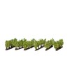 NOCH® Grape Vines 24 Vines Approx. 1.6 cm High for