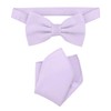 Vesuvio Napoli BowTie Solid Lavender Purple Color Mens Bow Tie