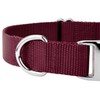 Country Brook Petz Premium Nylon Dog Collar with Metal Buckle