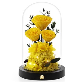 Agrul Flowers Roses Gifts for Mom,Forever Real Preserved Roses in Glass Dome,Mothers Day for Wife Girlfriend Women Best Friend Grandma/Yellow Rose