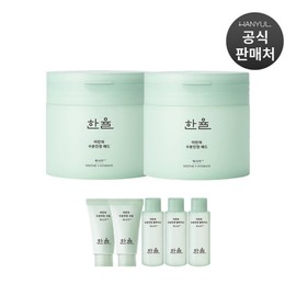 Hanyul 5% 더블쿠폰 한율 어린쑥 수분진정 패드 60매입 2개 5% Double Coupon Hanyeol Mugwort Hydrating and Calming Pads 60 Sheets 2 Pieces