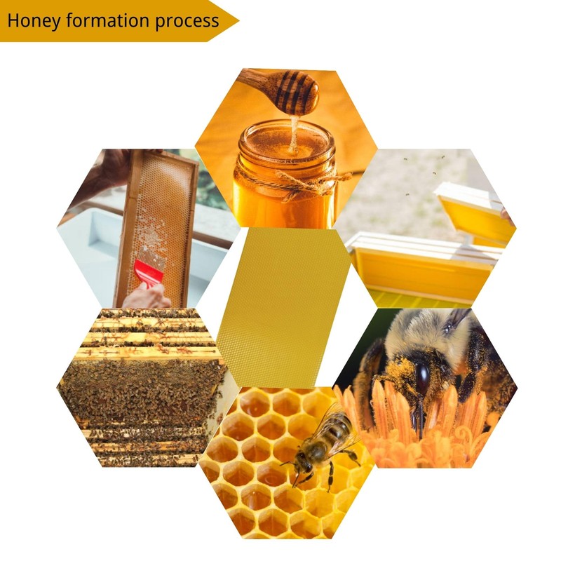 Bee Wax Foundation for Bee Frames, 15 Pcs Bee Foundation
