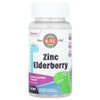KAL Dinosaurs Zinc Elderberry Mixed Berry 90 Micro Zinc Mineral Supplement, 1 Count / KAL 칼 Dinosaurs 징크 엘더베리 혼합 베리 90 마이크로 정 아연 미네랄보충제, 1개