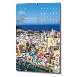 Map World Calendar 2026 "There is a reason for its amazing view. Wall hanging A3 size 12 months