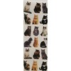 Mini Cats Stickers - 6 Sheets