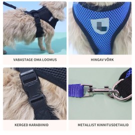 No Pull Dog Mesh Harness & Leash Set Adjustable Soft Padded Pet Vest with Easy Control Handle for Small Medium Dogs Cats,Puppy Harness,Step in Cat Dog Harness Vest for Training,Running,Walking (M)