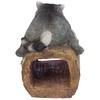 RAIDER THE RACCOON GUTTER GUARDIAN