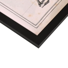 Nacnic Paillou Fetal skeleton Poster art, Size A4 Black frame. Vintage style Print for the decoration of living room walls, bedrooms, offices...