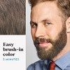 Just For Men Mustache & Beard Brush-In Color Gel, Light-Medium