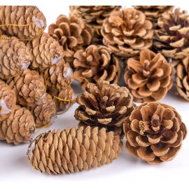 Anstore Pine Cones,36 PCS Christmas Natural Pine Cones,4-6cm & 6-8cm Fir Tree Natural Cones with String,Christmas Pinecones Ornaments for Thanksgiving DIY Crafts Christmas Tree Decor (2 Styles)
