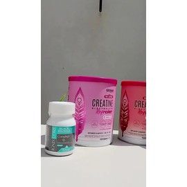 Birdman Fitmingo 510g  Creatina Refresher Complejo B 660mg