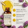 Lymphatic Drainage Drops for Bloat Relief & De-Puff Support 2