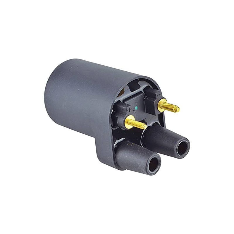 DB Electrical 160-01076 Ignition Coil Compatible with/Replacement for 12V Onan