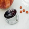 Scorpio Scorpion Zodiac Sign Horoscope in Space Pill Case Trinket