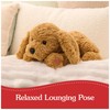 GUND Muttsy Dog Plush, Premium Plush Puppy Stuffed Animal for