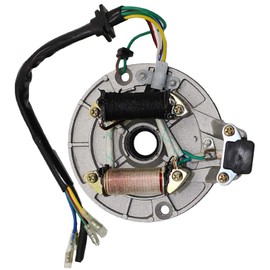 2 Coil Ignition Stator,for 50cc 70cc 90cc 110cc 125cc Taotao Kazuma SSR Baja ATV Quad Dirt Kick Bike 4 Wheeler Ignition Magneto Stator