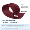 Ninaand Burgundy Tape in Hair Extensions Human Hair 20Pcs #99J