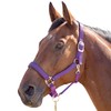 Shires Topaz Nylon Pony/Horse Headcollar - Purple Small Pony