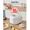 Toshiba Mini Rice Cooker, 3 Cups Uncooked Small Rice Cooker,