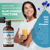 Blue Cohosh Tincture, Organic Blue Cohosh Extract (Caulophyllum Thalictroides)