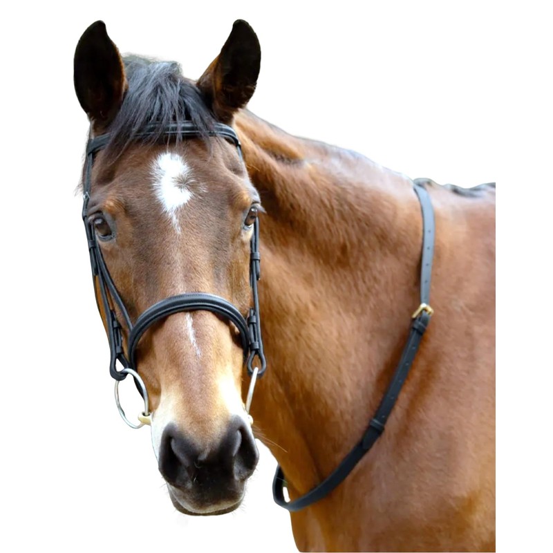 Hunters Saddlery Leather Neck Strap for Horse Riding Balance Pony