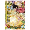 Dragon Quest Dai Adventure Cross Braid Limited Card & 9