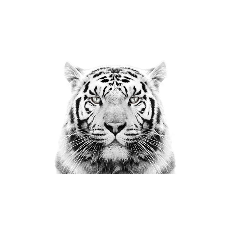 White Tiger Edible Icing Image for 6 inch Round Cake