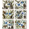 Cinnamon Blue Wren Coasters 6 Pieces Set