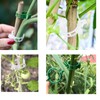 Poexuzi Secured PlasticTomato Vine Clips Support Clips Climbing Plants Garden