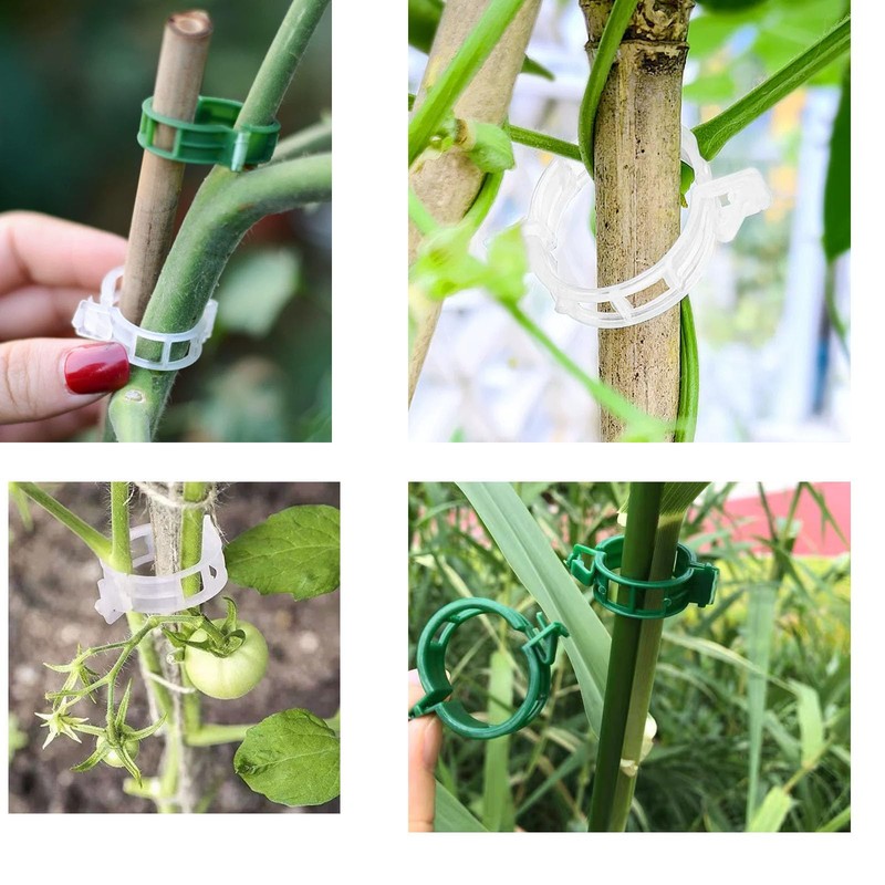Poexuzi Secured PlasticTomato Vine Clips Support Clips Climbing Plants Garden