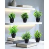 Clearain Fake Plants 6 Packs Artificial Plants Small Faux Plants