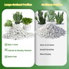 Doter Organic Chunky Perlite for Plants (0.4"-0.8" in Diameter), Natural