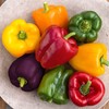 KIRA SEEDS - Sweet Bell Pepper Rainbow Mix - Heirloom