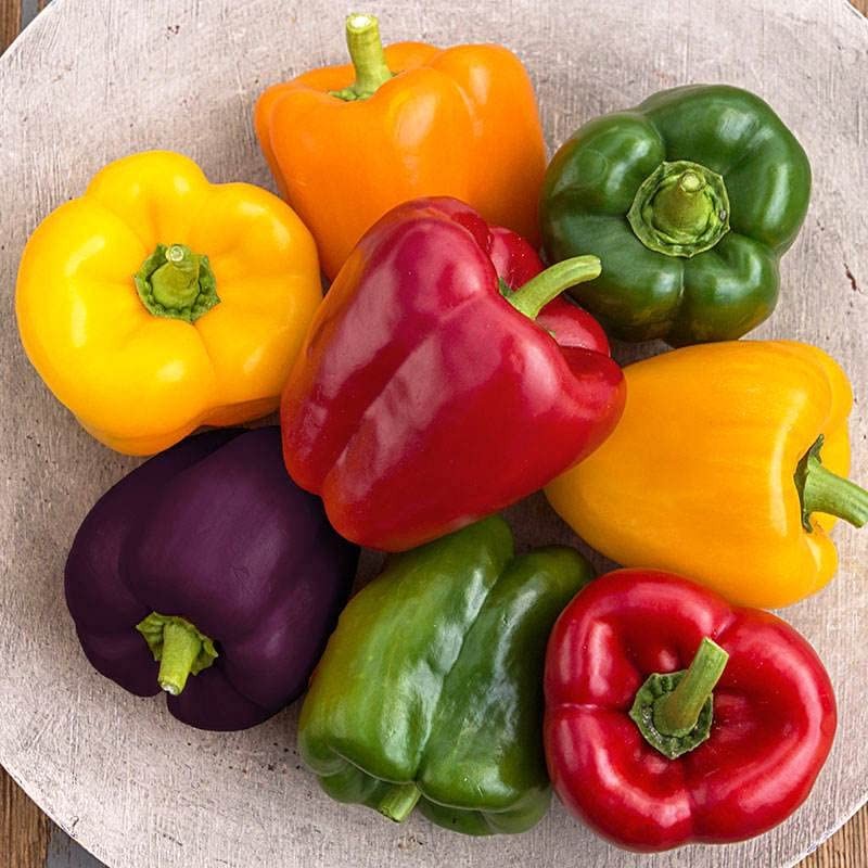 KIRA SEEDS - Sweet Bell Pepper Rainbow Mix - Heirloom