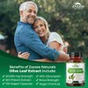 Zazzee Extra Strength Olive Leaf 50:1 Extract, 20,000 mg Strength,