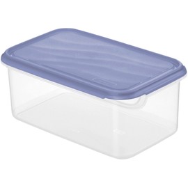 Rotho 2 Litre Rectangular Container with Blue Lid