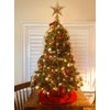 Nyicey Decoración para árbol de Navidad con 5 Puntos de