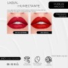 Kit Labiales Humectantes 6 Tonos Bissu Rojos Para Invierno