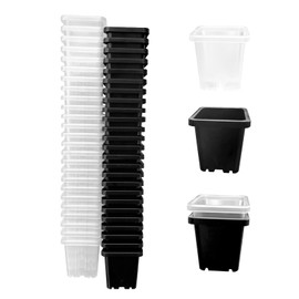 Gyfofix 2 Inch Square Plant Nursery Pots (Black+Clear),50Pcs Seedling Planter Seed Starter Pots,Sturdy Small Plastic Pots with Drainage Holes