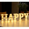 DyingSwan Small Led Marquee Letters, Light Up Letters, 8.58 Inch