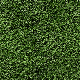 HelloWall Grass Wallpaper Green Grass Contact Paper Green Wallpaper Peel and Stick Wallpaper 17.5"×160" Waterproof Self Adhesive Botanical Wallpaper Removable Wallpaper for Living Room Bathroom Shelf