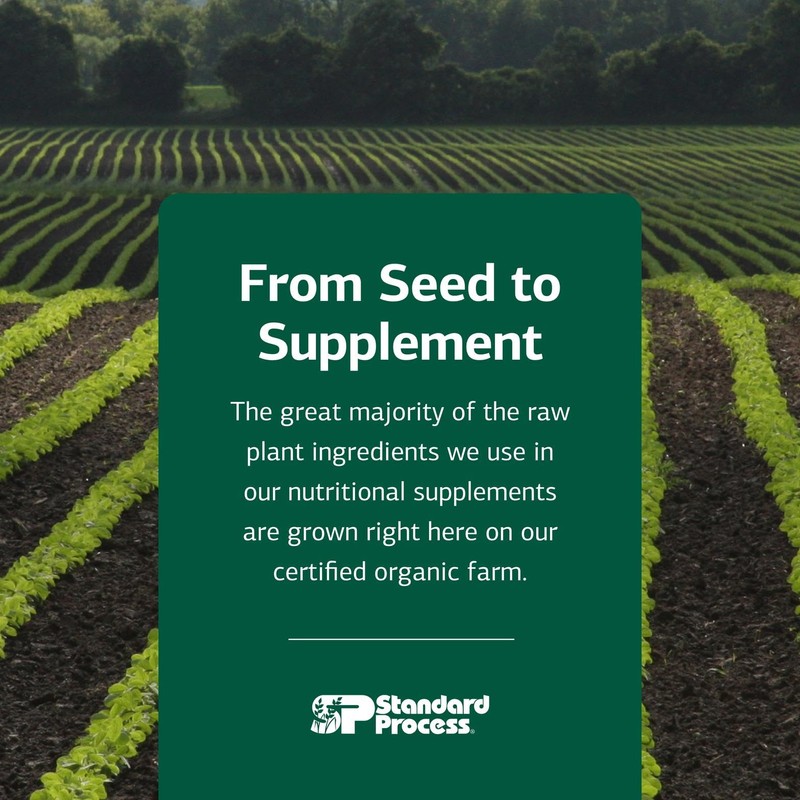 Standard Process Inc. Feline Hepatic Support - Cat Health Supplement