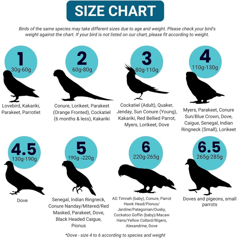 Bev's Birds Boutique Regular Flyper - Bird Diaper (13, Retro