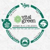 Vital Green Desodorante de Alumbre de Potasio, Aloe Vera, 100g,