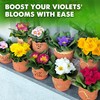 DUSPRO Recycle Premium 4-in-1 African Violet Potting Soil African Violet