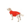 Doodlebone Dog Fleece (Pumpkin, 1)