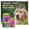 Medicina Natural Para Infecciones Urinarias En Perros