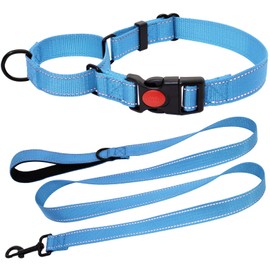 HSIGIO Martingale Collar for Dogs, Reflective Martingale Dog Collar and Leash Set, No Pull Adjustable Dog Training Collars with Quick Release Buckle for Large Dogs(Sky Blue, L)