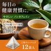 Gentle Non-Caffeine, Biwa Leaf Tea, 0.07 oz (2 g) x