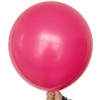 KALOR 18 Inch Hot Pink Balloons, 10 Pcs Hot Pink